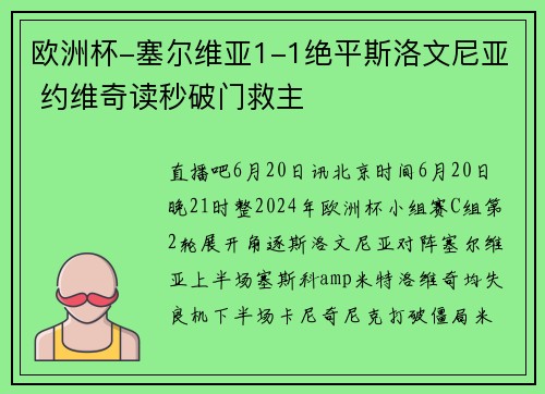 欧洲杯-塞尔维亚1-1绝平斯洛文尼亚 约维奇读秒破门救主